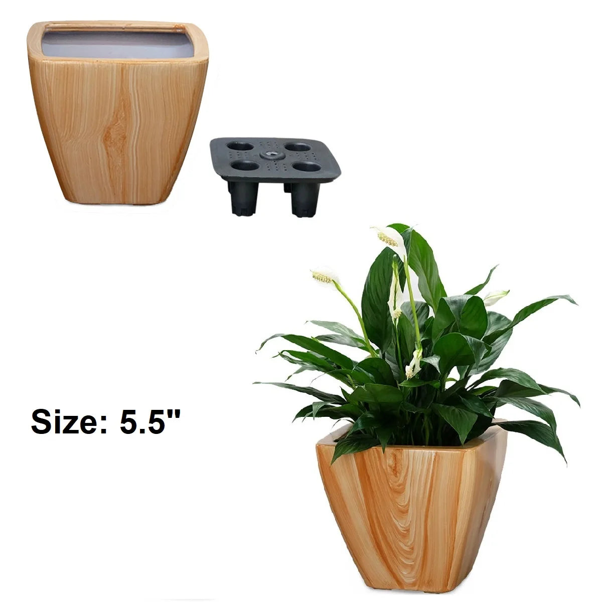 Romellar Self Watering Planter Pot Duo For Indoor Garden