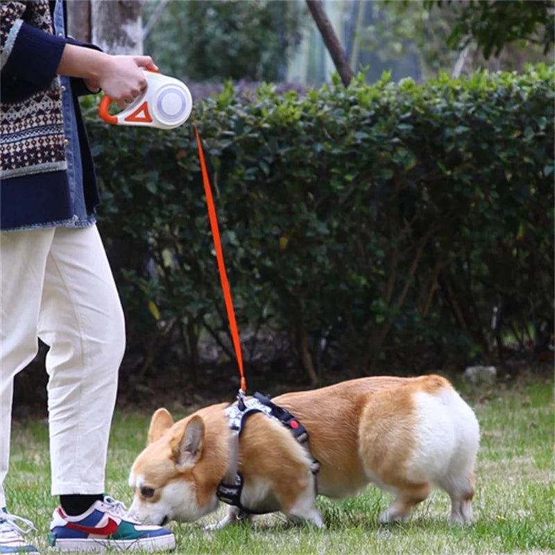 Booteely Automatic Retractable Dog Leash LED Flashlight